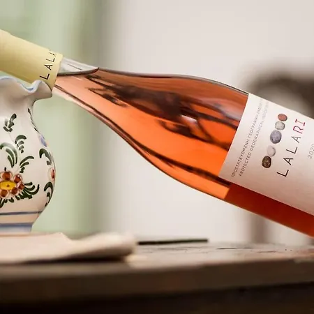 Apartman Katoi House - Village Szkírosz